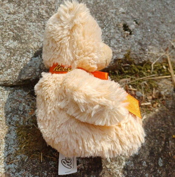 ✓Reeces Peanut Butter Cups Plush Teddy Bear - Picture 4 of 9